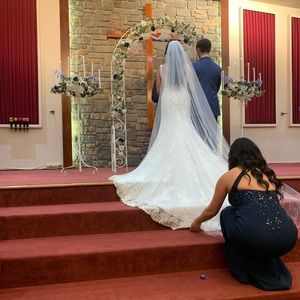 Full width, elegant, soft, sheer, single tier, classic elegant cathedral veil